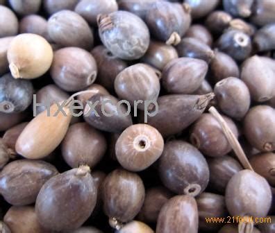 coix seed,Vietnam price supplier - 21food