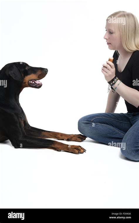 Young Woman with Doberman Stock Photo - Alamy