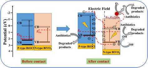 The Possible Photocatalytic Mechanism Of The Fe 3 O 4 QDs BiOCl BiVO 4