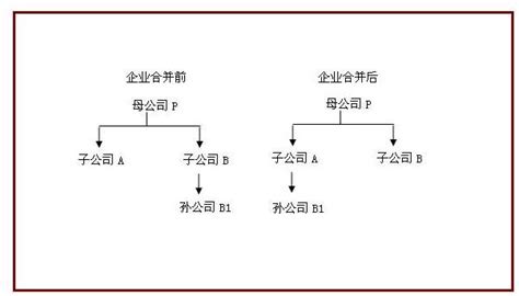 同一控制下的企业合并是什么意思？同一控制下的企业合并要如何直白的理解它 股市聚焦赢家财富网