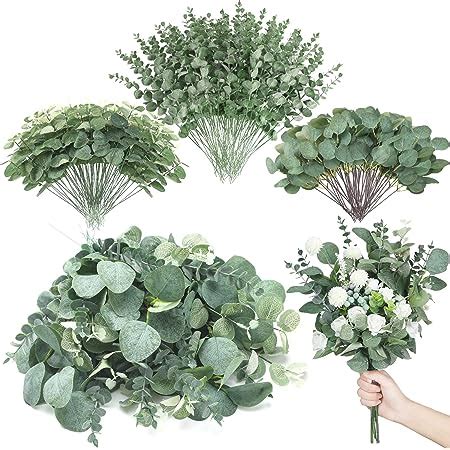 Amazon 600 Pcs 3 Kinds Mixed Eucalyptus Leaves Stems Bulk