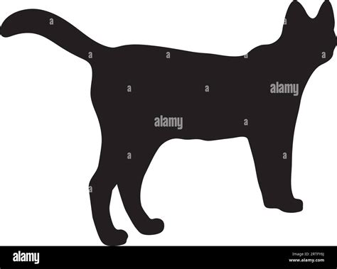 Cat Window Silhouette Black And White Stock Photos And Images Alamy