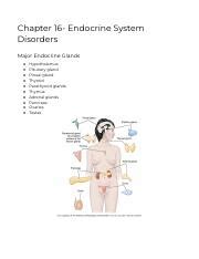 Chapter Endocrine System Disorders Pdf Chapter Endocrine