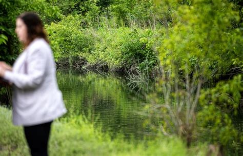 Federal Funding For Paxton Creek Redesign Will Help Replace Sewer Line Reduce Flooding