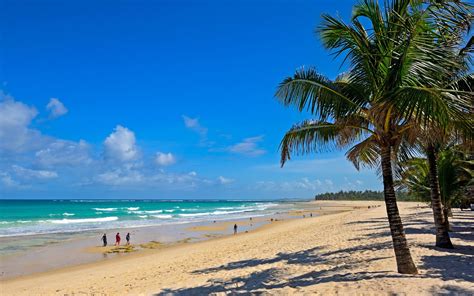 Top 10 Best Beaches In Mombasa Goats On The Road