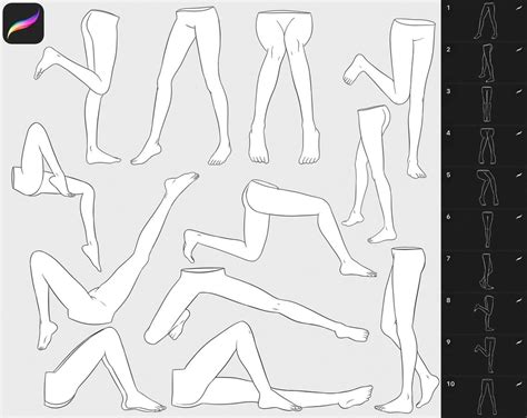 Male And Female Legs Stamps For Procreate