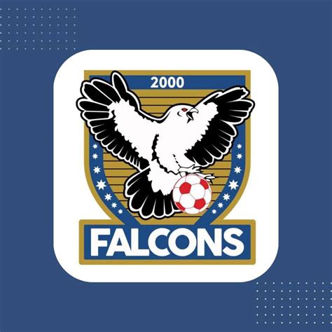 Falcons 2000 Soccer Club