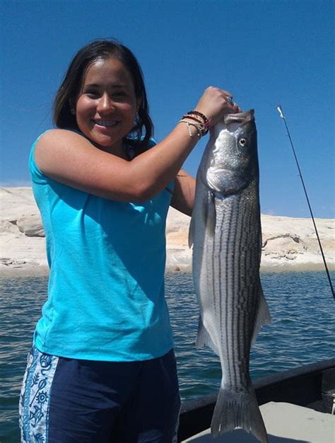 Lake Powell Fishing By Wayne Gustavson 5 2 13 Ambassador Guides At