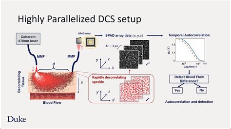 Introduction To Parallelized Diffuse Correlation Spectroscopy Youtube