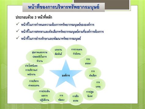 บทที่ 5 การบริหารทรัพยากรมนุษย์ Ppt ดาวน์โหลด