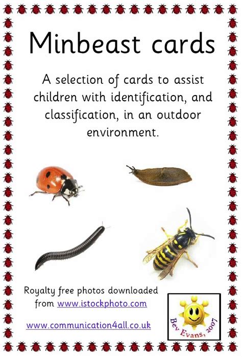 63 Best Images About Minibeasts On Pinterest Activities Fonts And Action