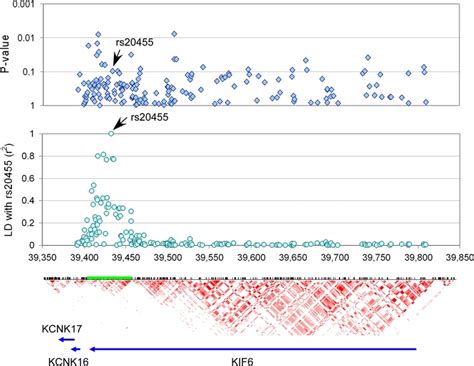 Linkage Disequilibrium And Association With Statin Therapy In Care