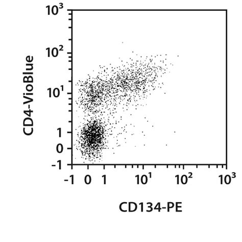 Cd Ox Antibody Anti Mouse Miltenyi Biotec