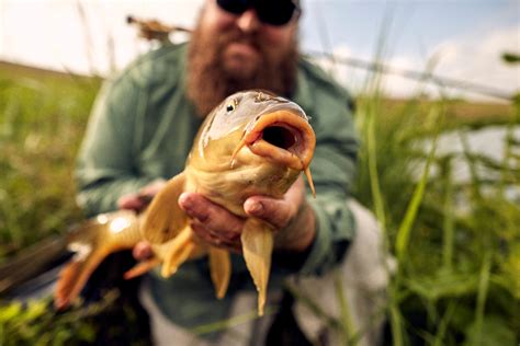 Carp On The Fly With Chris Fowler Flylords Mag