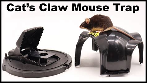 The Cats Claw Mouse Trap Catches 2 Mice At Once In The Barn Mousetrap