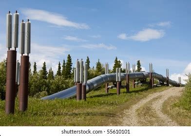 1 Perma Pipe Images Stock Photos Vectors Shutterstock