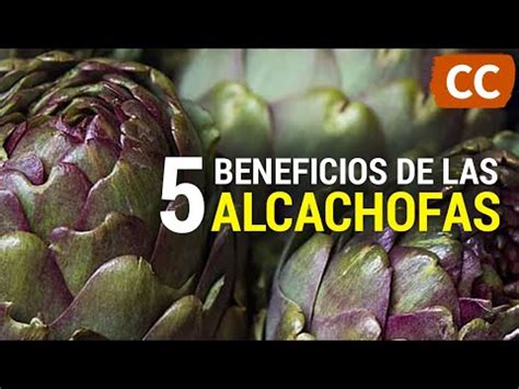 Informaci N Y Usos De La Alcachofa Como Alimento Y Remedio Natural La