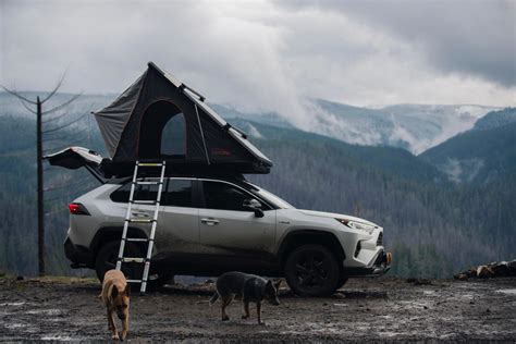 Prinsu Roof Rack 2019 Toyota Rav4 Theyotagarage