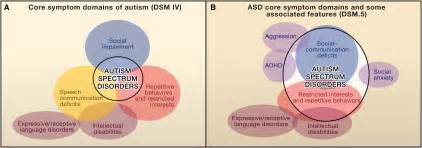 Unweaving The Autism Spectrum Cell