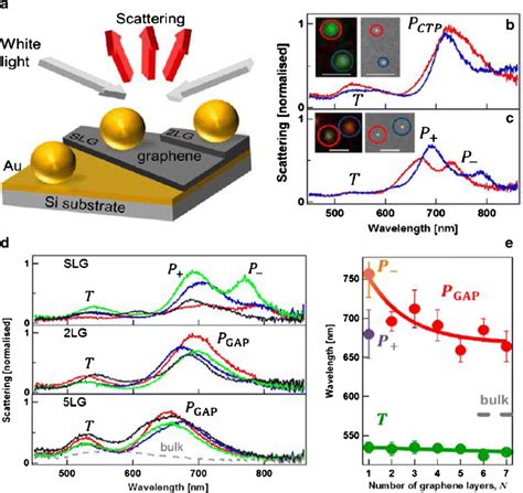 A Schematic Of The Gold Nanoparticlesgraphenegold Thin Film Model