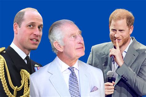 Prince Harry and King Charles' Major Royal Rift Dilemma - Newsweek