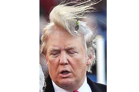 Presidential Heir Apparent Donald Trump—Funniest Hair Memes! - Popdust