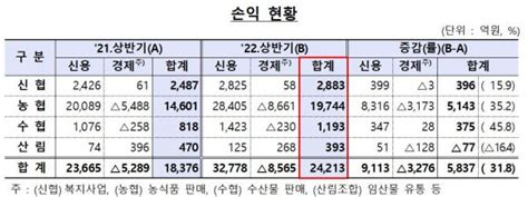 상호금융 상반기 순이익 2조4213억원전년比 32↑ 네이트 뉴스