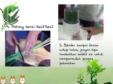 Bioteknologi Membuat Obat Nyamuk Dari Serai PPT