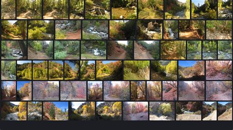 ArtStation - Fall Colors Rocks Rocky Mountains | Resources