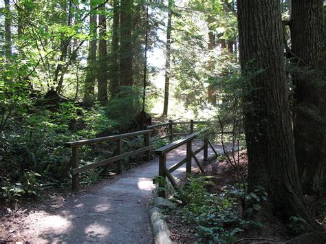 Hiking in Stanley Park near downtown Vancouver, BC | Vancouver Trails