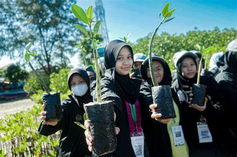 FOTO Penanaman 500 Bibit Mangrove Di Pulau Pramuka