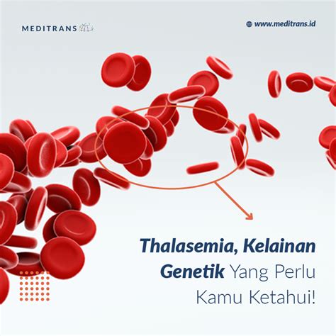 Thalasemia Kelainan Genetik Yang Perlu Kamu Ketahui Meditrans Global