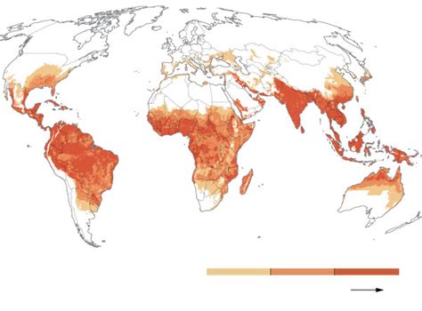 How Dengue A Deadly Mosquito Borne Disease Could Spread In A Warming