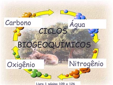 Ciclo Biogeoquímico Do Hidrogênio - 8