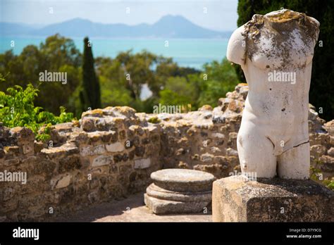 Ruins of Carthage, Tunisia Stock Photo - Alamy