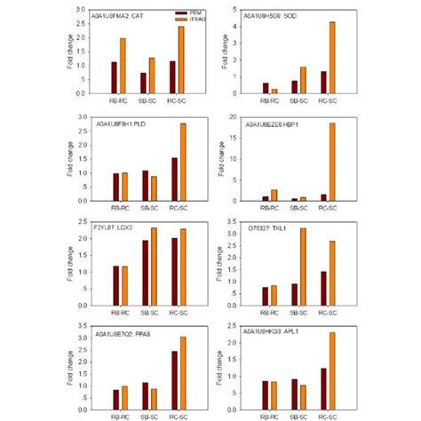 Relative Expression Levels Of Selected Proteins Measured By Prm In The Download Scientific