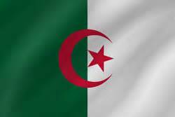 Algeria flag icon - Country flags