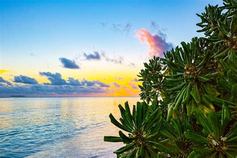 Belo pôr do sol da noite na costa da ilha maldivas Foto Premium