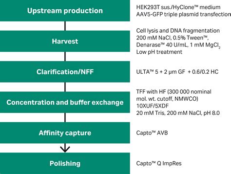 Gene Therapy Aav Vector Purification Process Cytiva