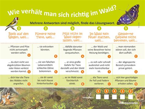 Lehrtafeln Rund Um Das Thema Wald Flora Und Fauna Im Wald Natur Im