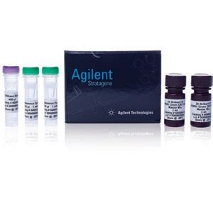 Absolutely Total Rna Ffpe Purification Kits Eco Biosciences