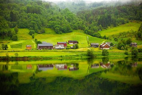 Free Images Landscape Water Nature Forest Grass Fog Sunrise