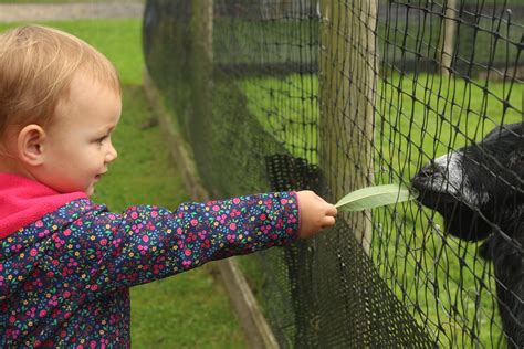 Ashton House Nursery On Twitter Spending Time With Our On Site