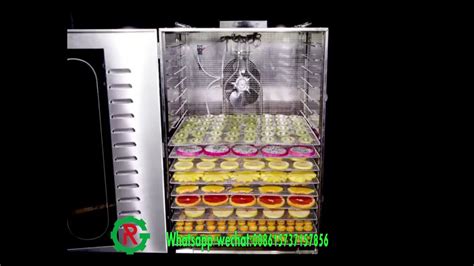 Fruit And Vegetable Drying Machine Food Fruit Dehydrator Dehydrator Machine Youtube