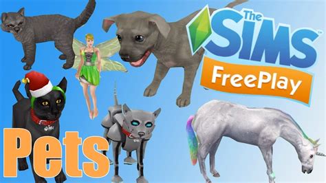 Can Cats Go Up Stairs In Sims Freeplay? The 13 New Answer ...