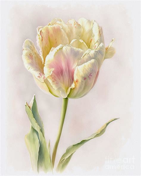 Terry Yellow Tulip Painting By Pavel Lukashin Fine Art America