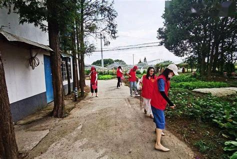 【创建进行时】立足文明“新起点” 志愿服务不停歇（四）活动日