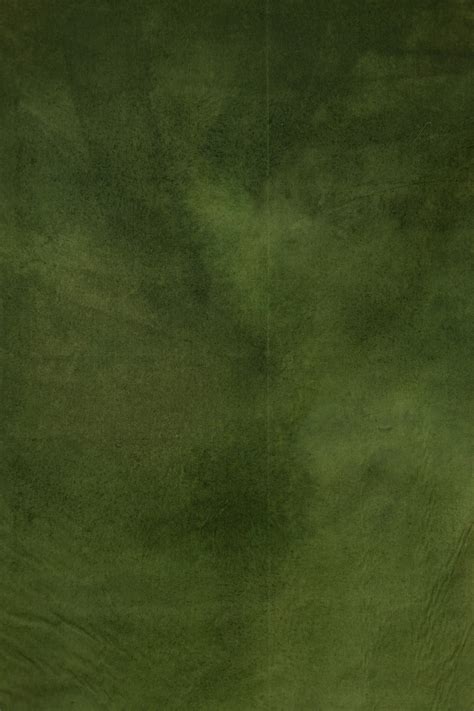 green bundle digital backdrop bdb zen backdrops