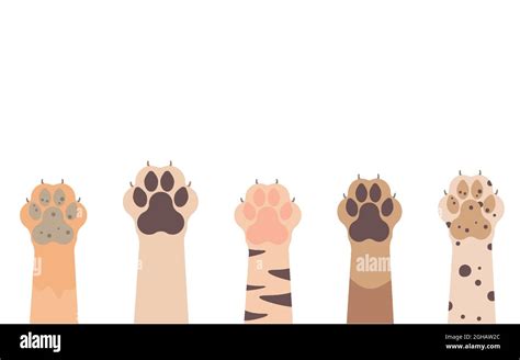 Paws Up To Pets Set Isolated On A White Background Stock Vector Image