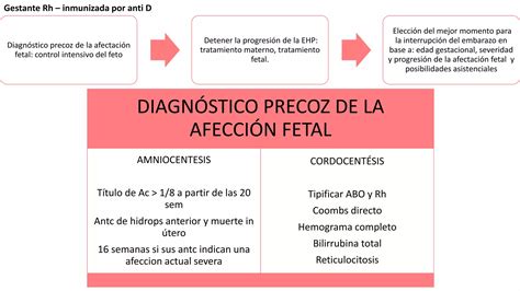 Isoinmunizaci N Rh E Incompatibilidad Abo Ppt